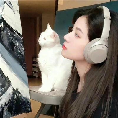 完美音调