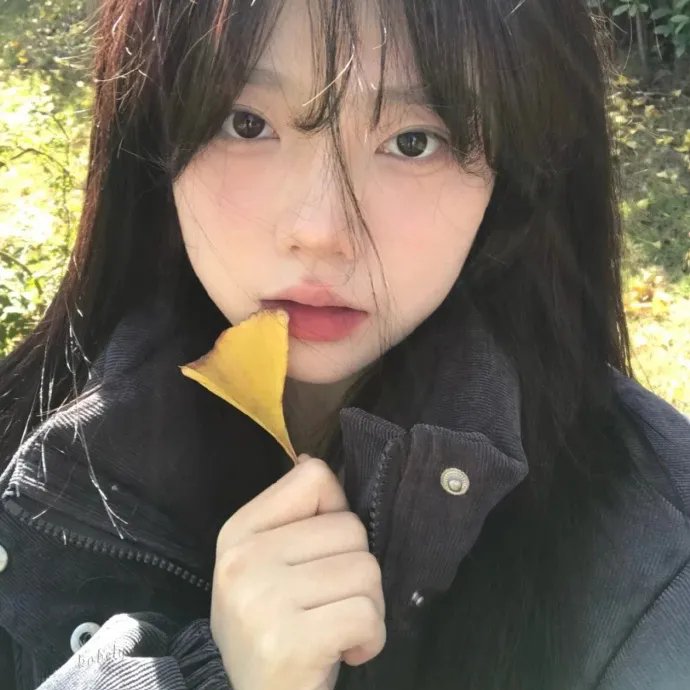 我的明星村长